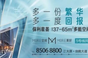 总价14万到1500万销量反弹的背面成都公寓买家价值观分解