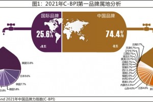 2021年中国品牌力指数(C-BPI)研究成果权威发布